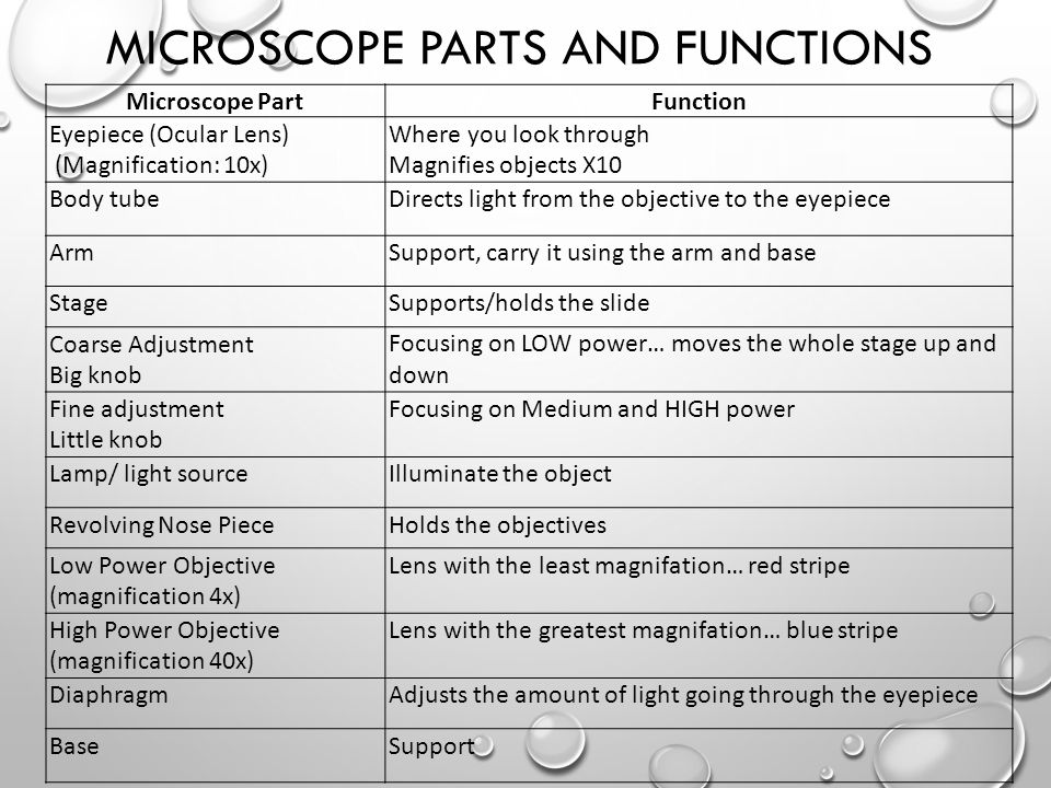 MICROSCOPE PARTS AND FUNCTIONS